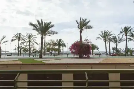 Albahia Alicante - 39