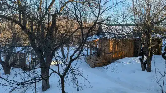 Усадьба Васильевых - 32