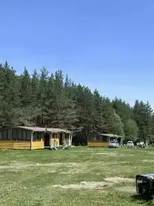 Вертикаль V - 19