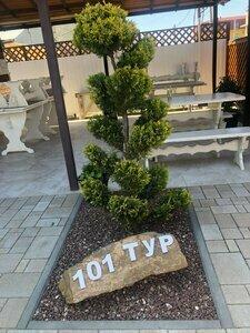 101Tur - 18