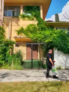 Хоста - 27