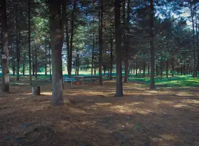 Томь-Усинский - 95