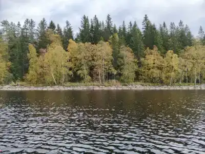 Мантиансаари - 55