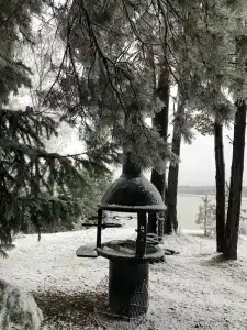 Медведчикова - 6