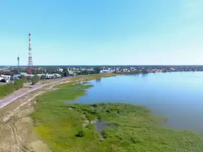 Мечта - 14