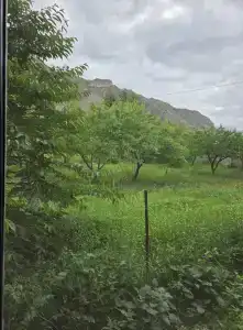 Росо - 16