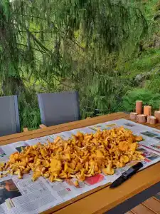 Jakoniemi village - 38