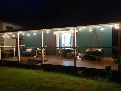 Смородина - 61