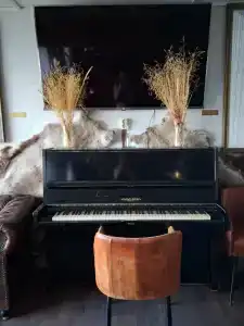 Cedar Grass Териберка - 96