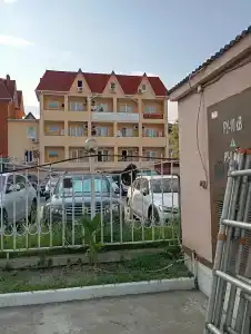 Дельфина - 21