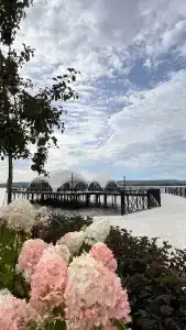Volga Spa Village - 9