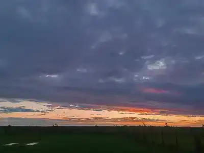 Дубль Дача - 41