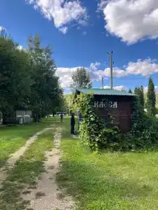 Мультиферма - 38