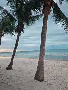 Hua Hin Marriott Resort And Spa - Sha Extra Plus - 47