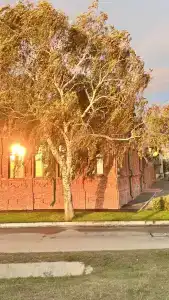 Серебряный Век - 55