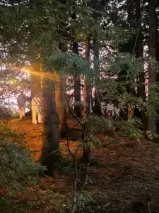 Кучумъ - 11