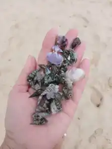 Orbit Resort & Spa - 45