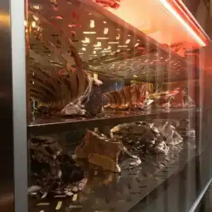 Roadside by Khorrot - 70