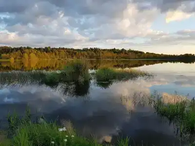 Торопаца Эко - 35