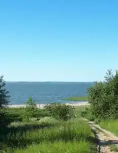 Сосны, Ели и Залив - 30