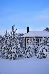 Кислица - 29