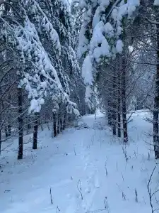 Акназар - 12