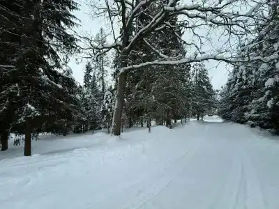 Плещеево - 19