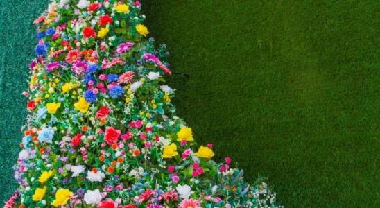 Chaamaran Boutique - 38