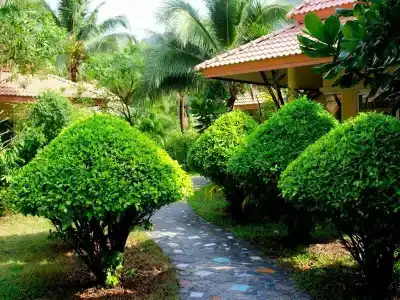 Koh Chang Paradise Resort & Spa - 11
