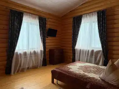 Чибис - 7