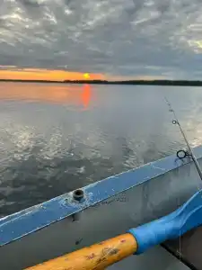 Коккосалма - 47