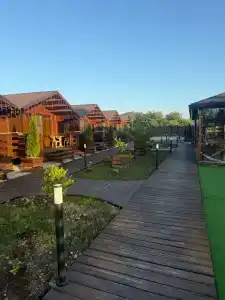 Платан-Paradise - 30