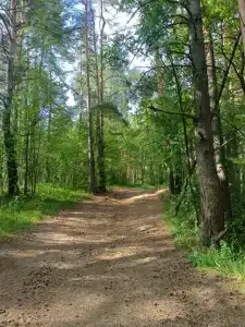 Тимофеевская усадьба - 22