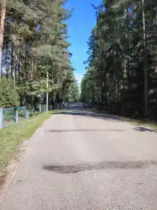 Вилия - 44