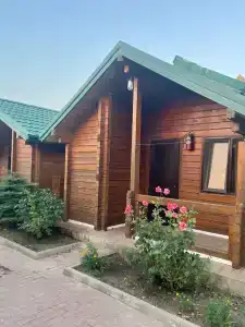 Русалочка - 11