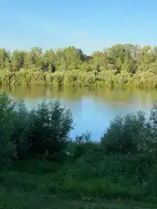 Шунский берег - 21