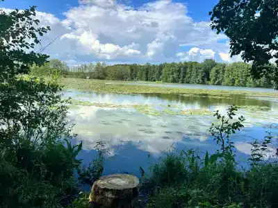 Чаща - 6