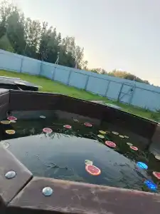 Дом с баней и чаном у леса - 18