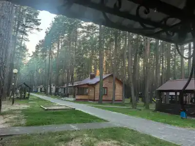 Химик - 31