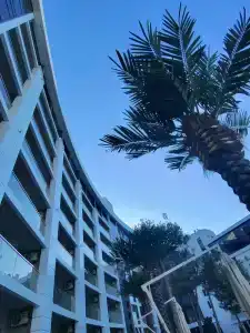 Zenith Resort & Spa - 67