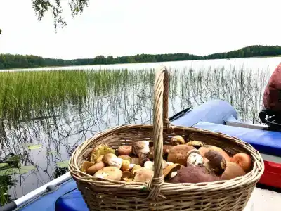 Дом на Вуоксе - 17