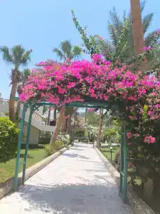 Bel Air Azur Resort (Adults Only) - 17