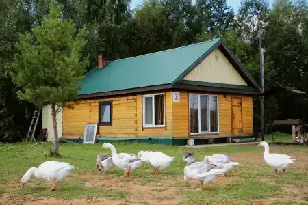 Конная эстетика - 40