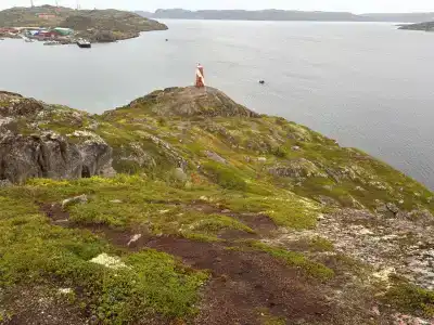 Cedar Grass Териберка - 44