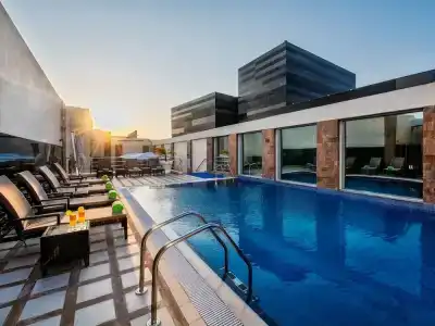 Golden Tulip - 6