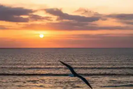 Atlas Amadil Beach - 13