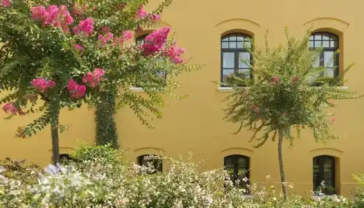 Four Seasons Istanbul at Sultanahmet - 22