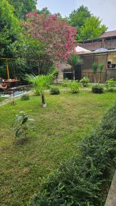 Мини отель Асхо - 89