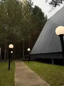 Глэмпинг Лесник в сосновом лесу - 10