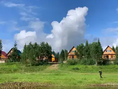 Лесная гармония - 22